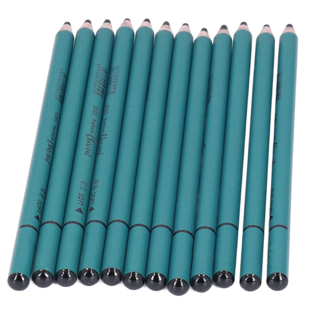 12Pcs Charcoal Pencils Flexible Write Smoothly Easy To Use Charcole Art Supply for Detailed Drawing