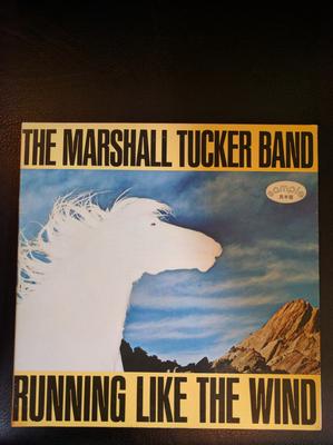 Виниловая пластинка MARSHALL TUCKER BAND Running Like The Wind P10662W WARNER BROS. 1979 Япония Рок Б/У