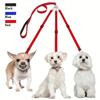 Durable 3-in-1 Nylon Dog Leash with Padded Handle for Outdoor Walking, Car Travel, Hiking and Camping - Three-Way Pet Leash