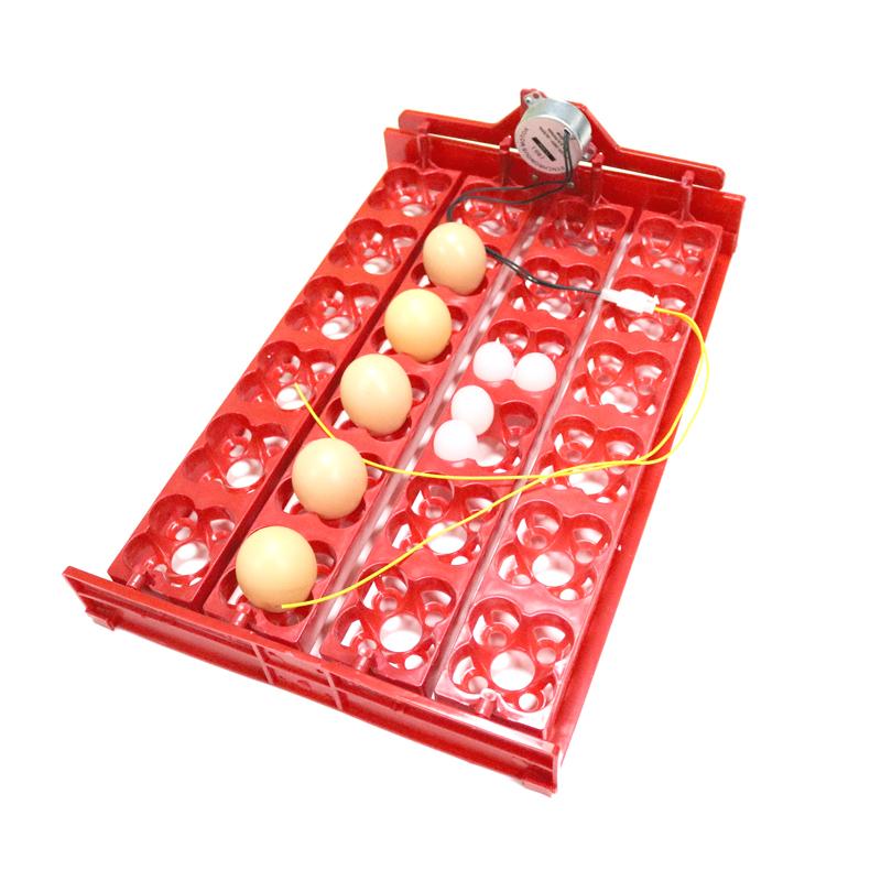 Лоток для вывода 24 куриных/96 перепелиных яиц 220В / 110В / 12В Мотор Оборудование для вывода цыплят и птиц Аксессуары для инкубатора DIY 1 комплект