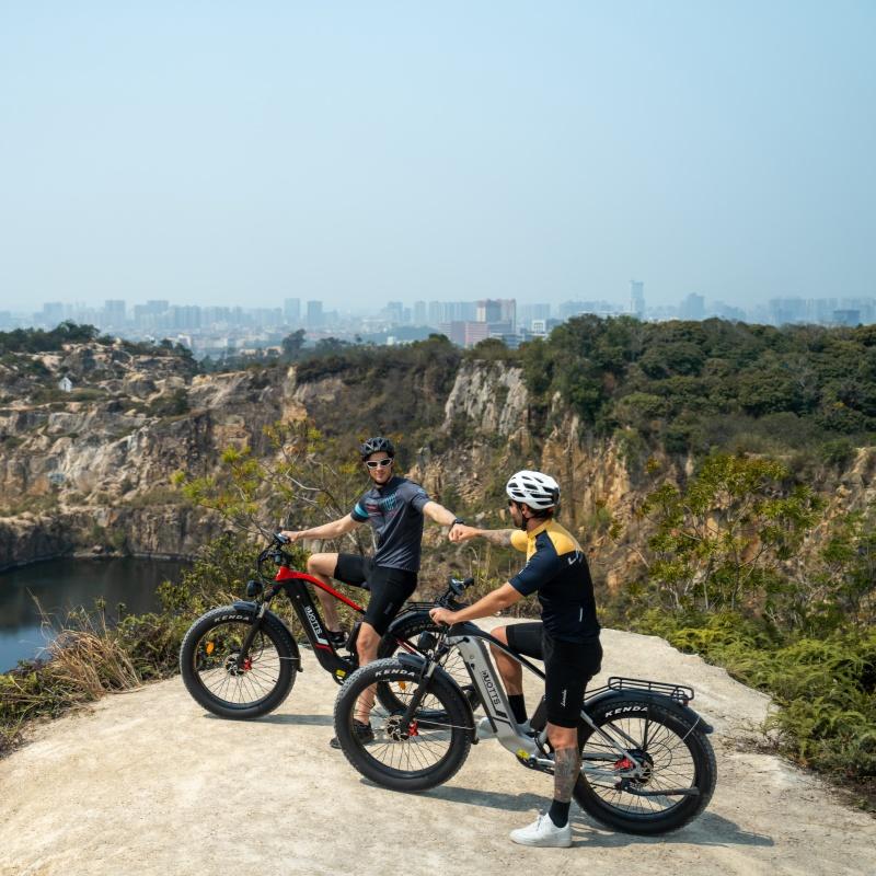 DUOTTS F26 Electric Bike 1500W Dual Motor 48V 20AH 26 "Fat Tire E-BIKE Adult E-Mountain MTB, Full Suspension, Hydraulic Brake