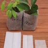 100Pcs Nursery Bag Good Nutrient Absorb Ability Permeability Non-woven Plants Grow Pouch for Home