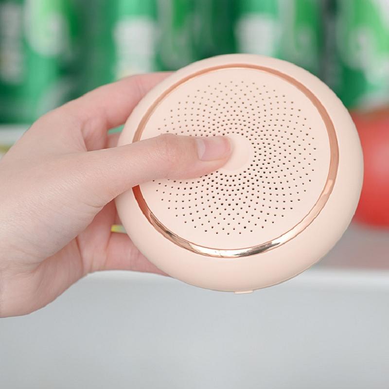 Холодильник Дезодоратор Очистка воздуха Шкаф для обуви Озоновый стерилизатор Автомобильный дом двойного назначения