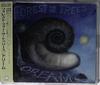 CD FOREST FOR THE TREES - Dream MVCA12002 Dreamworks Reco 1997 Japan Dance & Electronica Used