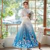 Chinese Ming Dynasty Style Hanfu Long Horse-face  Skirt Modified Hanfu Retro Set