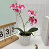 Two Realistic Branches Butterfly Orchid Green Plant Bonsai For Indoor Decor