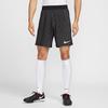 Спортивные повседневные шорты Dri FIT ADV для мужчин