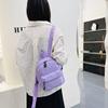 Однотонный женский рюкзак Стильный рюкзак в стиле преппи Повседневный уличный дорожный шоппинг Большие сумки Рюкзаки