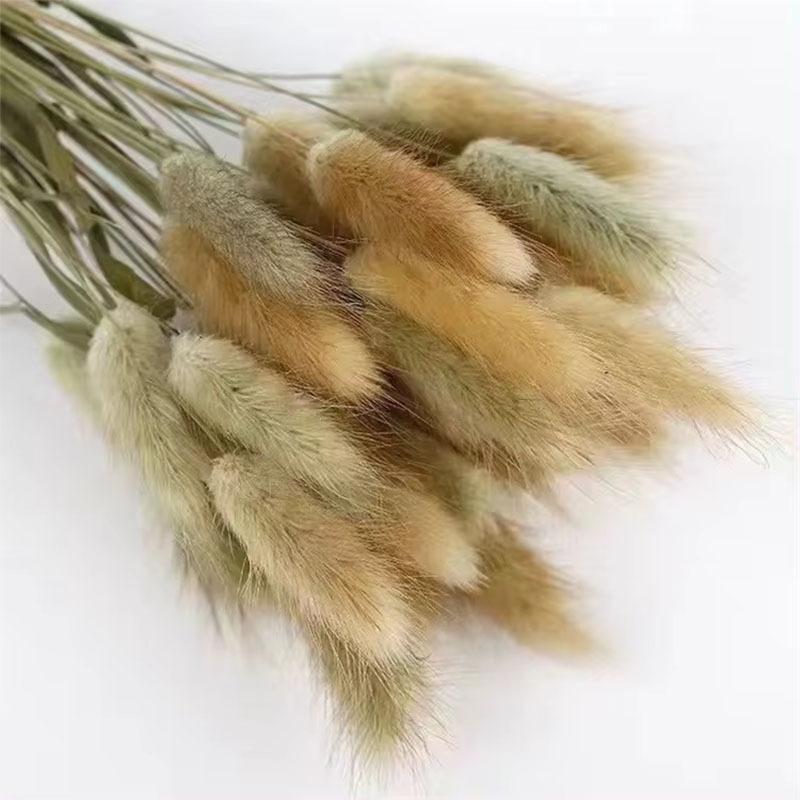Source Yunnan Dried Flower Bouquet Combination, Real Flower Pampas Grass Home Decoration Reed Rabbit Tail Grass Dried Flowers