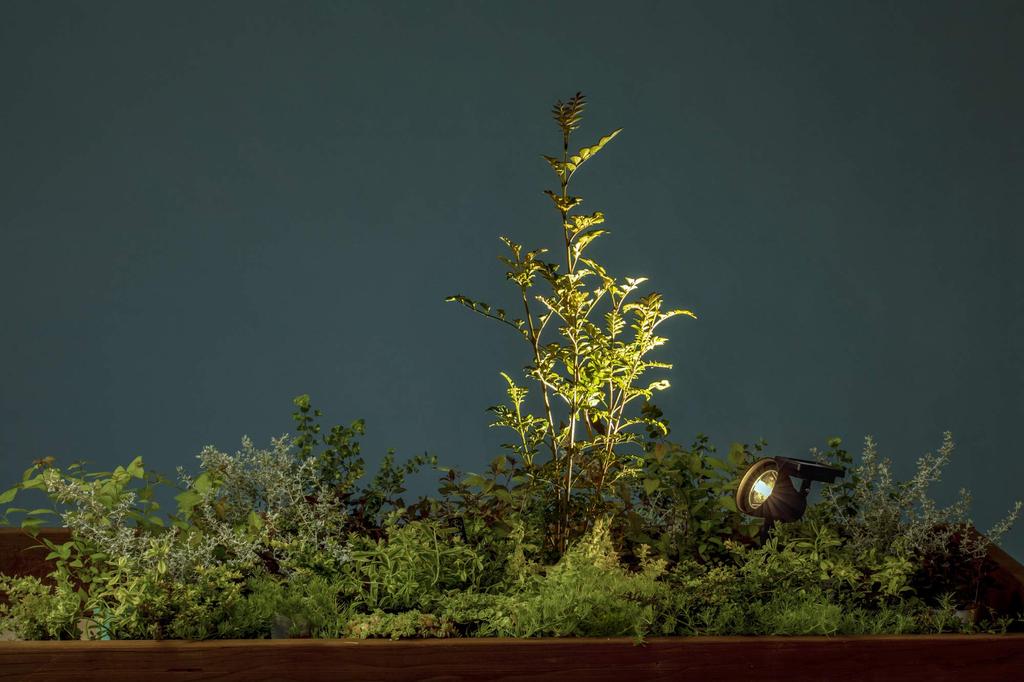 Takasho Солнечный светильник высокой мощности, 1 светодиод, направленный вверх, LGS-129