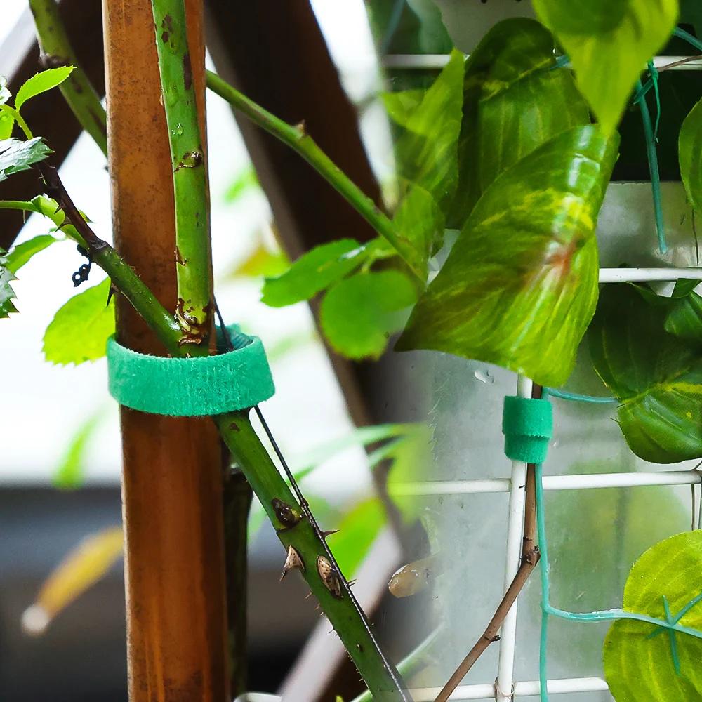 50/1M нейлоновые стяжки для растений, повязка для растений, крючок, петля для крепления, регулируемая опора для растений, многоразовая крепежная лента для домашних садовых принадлежностей