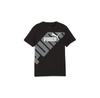 Футболка Puma 679254
