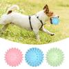Interactive Dog Chew Toy Bite Resistant Teeth Cleaning Boredom Relief Small Medium Large Dogs Pet Supply