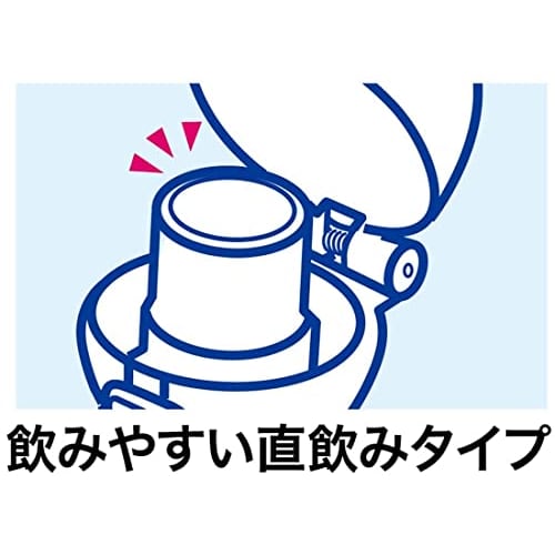 Skater Water Bottle Minecraft 480ml Children's Antibacterial Plastic Made In Japan PSB5SANAG-A