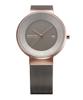 Bering 14639-369 Men's & Women's Solar Watch