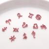 Pink Zodiac-Inspired Gem-Free Alloy Jewelry: Aries & Leo 3D Fingertip Nail Art