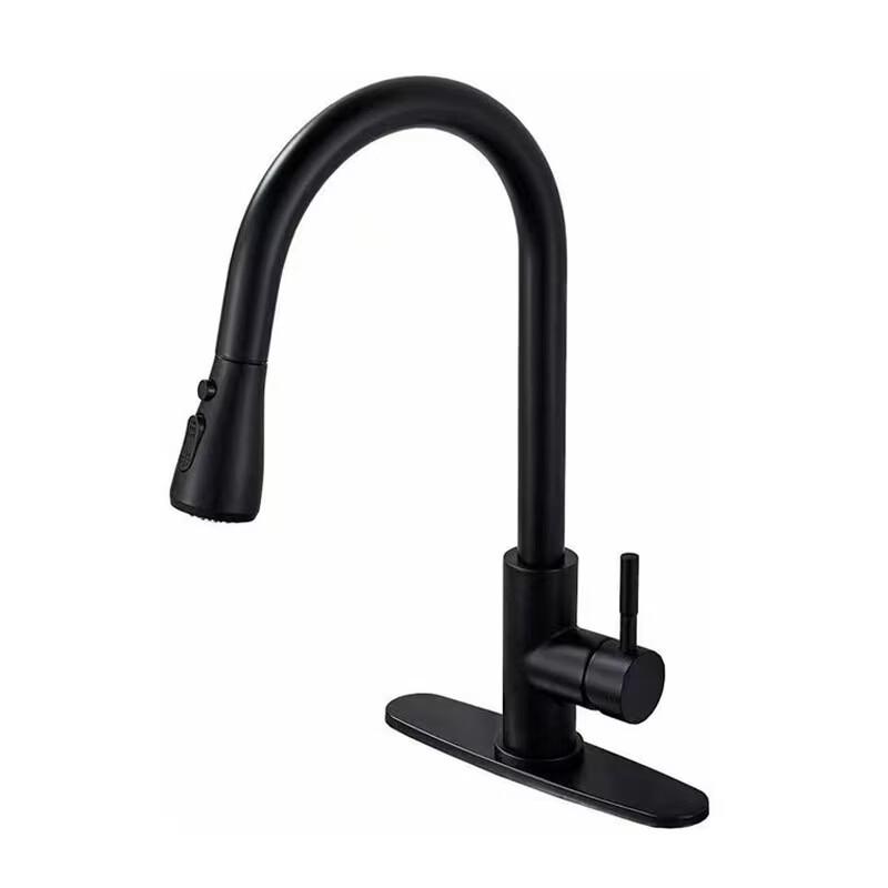 304 Stainless Steel Pull-out Kitchen Faucet