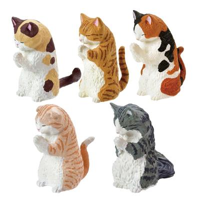 Из Гача Гачапон Полный набор Фигурка Игрушка Содержимое Животное Кошка Милый Такumi Часть Экзотический Манчкин Калико Шотландский Норвежский [Набор 5] [Гассё ~Кошка