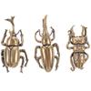 3 Pcs Beetle Tea Pet Brass Adornment Desktop Ornament Figurine Decoration Statue Nail Glue Beetles