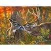 5D DIY Diamond Embroidery Mosaic Cross Stitch Kits Deer Diamond Painting Animals Picture Rhinestone Art Gift Handmade Home Decor