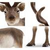 Schleich Reindeer SL14837, 1 шт., популярные игрушки в Корее
