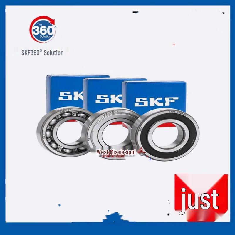OIMGSKF WT 6205 C4 Bearing