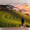 2D Flat Image 1 Piece of a Man In a Bali Rice Paddy At Sunset Suitable for Photography or for a Room Decoration.