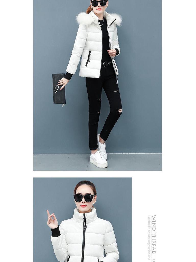 Зимнее студенческое хлопковое пальто 2020 года с большим меховым воротником