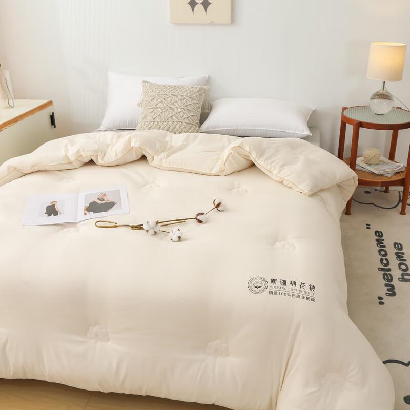 Qixiai Washed Cotton Xinjiang Cotton Quilt