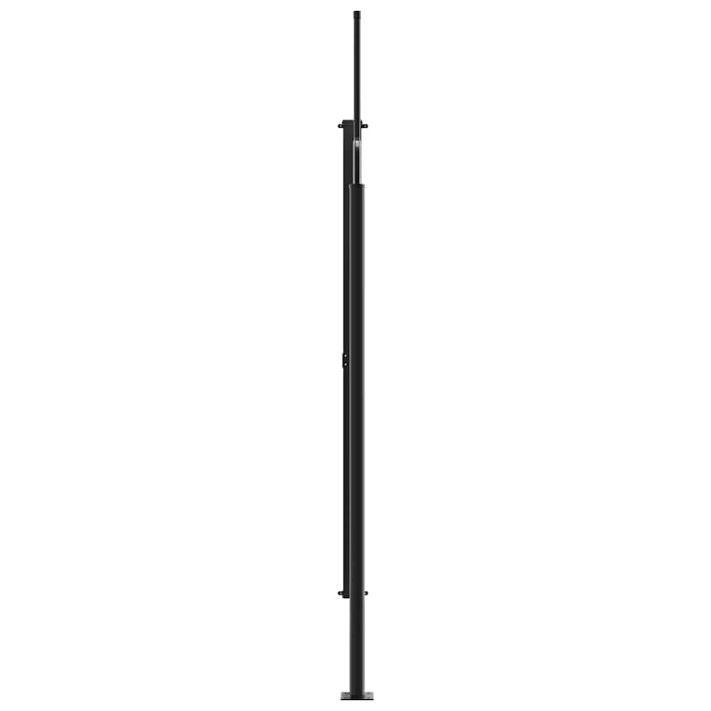 Retractable Side Awning Anthracite 220 x 300 cm