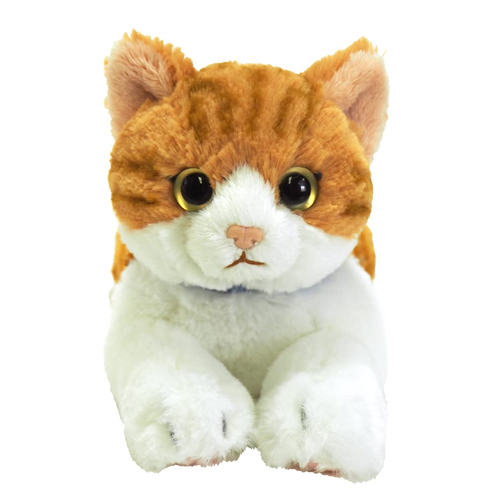 Солнечный Лимон Кот на Коленях Часиро Плюшевое Животное Маленький 13 x 36 x 15 см Милый Кот P-7822