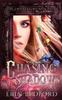 Книга Chasing Shadows : 4