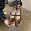 Pointed Toe Mary Janes High Heels Women Pleated Belt Buckle Ladies Shoes Fashion Low Heel Pumps Office Party Wedding Shoe 2024