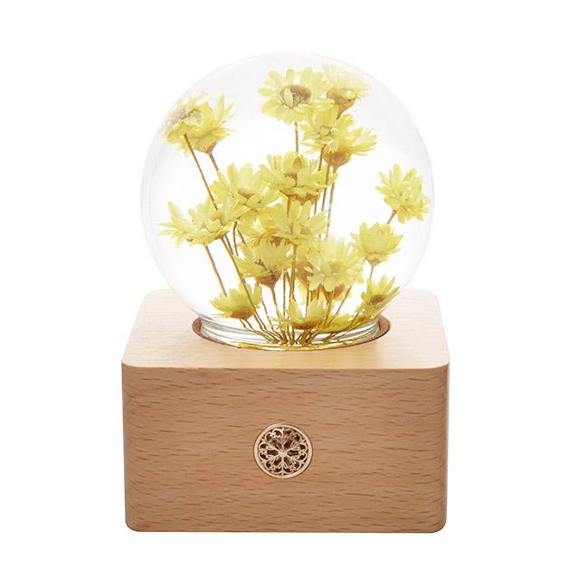 Unique Hot Item 2026 Trends New Years Innovative Product Ideas in Latest Real Flower Night Light Holiday Festival Gift Set