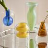 Стеклянная ваза Художественные украшения Цветочная ваза для растений Домашний декор Аксессуары Настольные поделки Террариум Украшения для гостиной