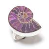 Ammonite Fossil Gemstone 925 Sterling Silver Jewelry Ring Size 9