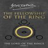 The Fellowship of the Ring by J. R. R. Tolkien Paperback Book 9780261103573