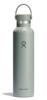 Standard Mouth 24oz 709ml Agave Stainless Steel Water Bottle (Official Japanese Product)