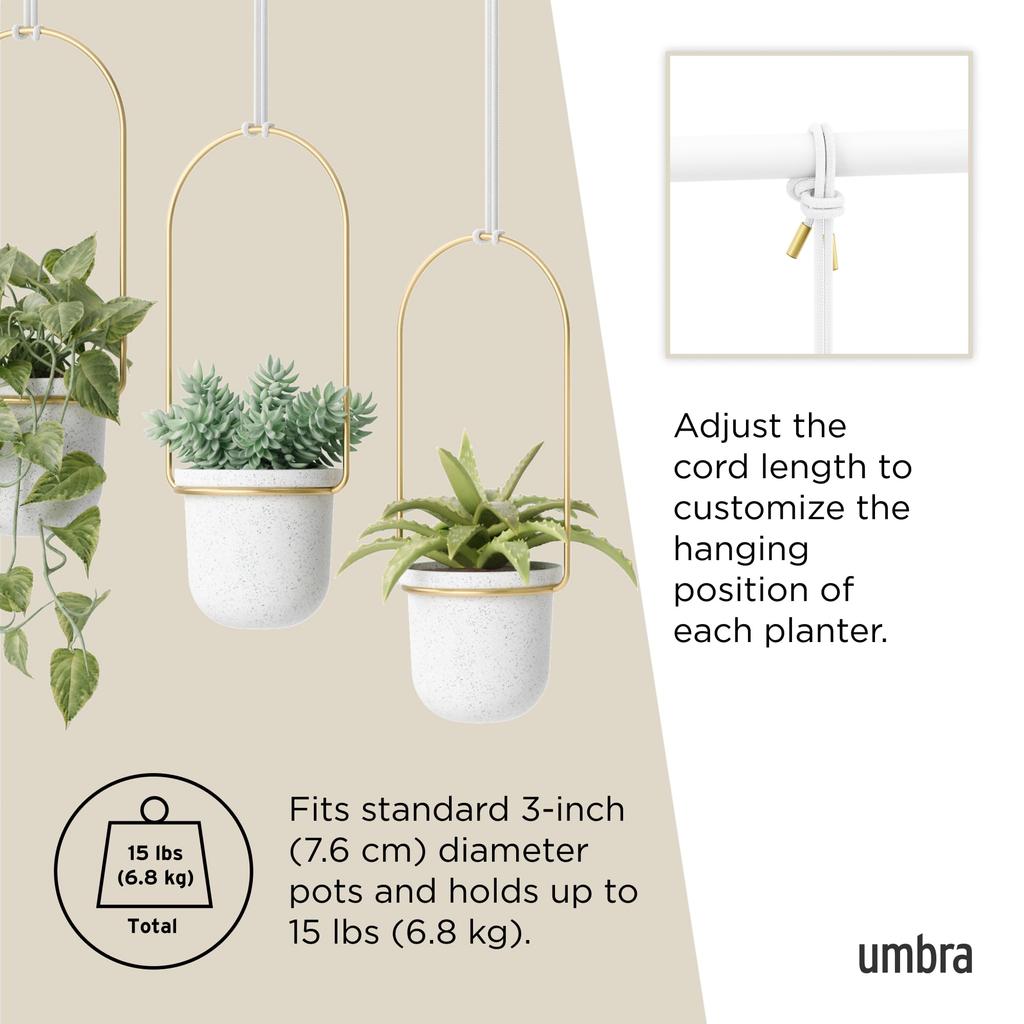 Umbra Подвесной набор кашпо Ш13 x x см, Белый/Латунь, 3, Triflora, 21011748524, D1.1 1.5