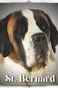 Книга St. Bernard : Dog Breed Overview and Guide