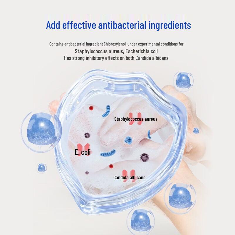 Longliqi Foam Antibacterial Hand Wash
