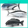 Marine Animal Static Model Toy With Realistic Fish Design For Collectors And Decor