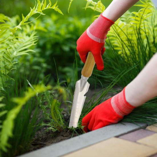 Yousheng Ручной удалитель сорняков Вилка из нержавеющей стали Ручной пропольщик Удалитель сорняков с деревянной ручкой Садовый инструмент для прополки для удаления мха и сорняков