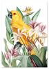 Poster Parrot In Exotic Flowers