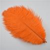 10Pcs/Lot 25-30Cm Ostrich Feathers For Crafts Party Decoration Jewelry Creation Natural Feather For Needlework And Handicrafts