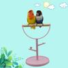 Горячий! Жердочка для птиц Подставка для отдыха Настольная платформа для дрессировки Игровая площадка Портативная клетка для птиц Игрушки Принадлежности для птиц