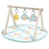 Ingenuity Wooden Toy Bar Play Mat Sun Valley 0 Months Activity Gym Baby Gym Baby Mat Play Gym 13122 &