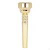 Trumpet Mouthpiece, 17C Gold Plated Brass Mouthpiece