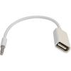 3.5mm Male AUX Audio Plug Jack to USB 2.0 Female Converter Cable Cord EN