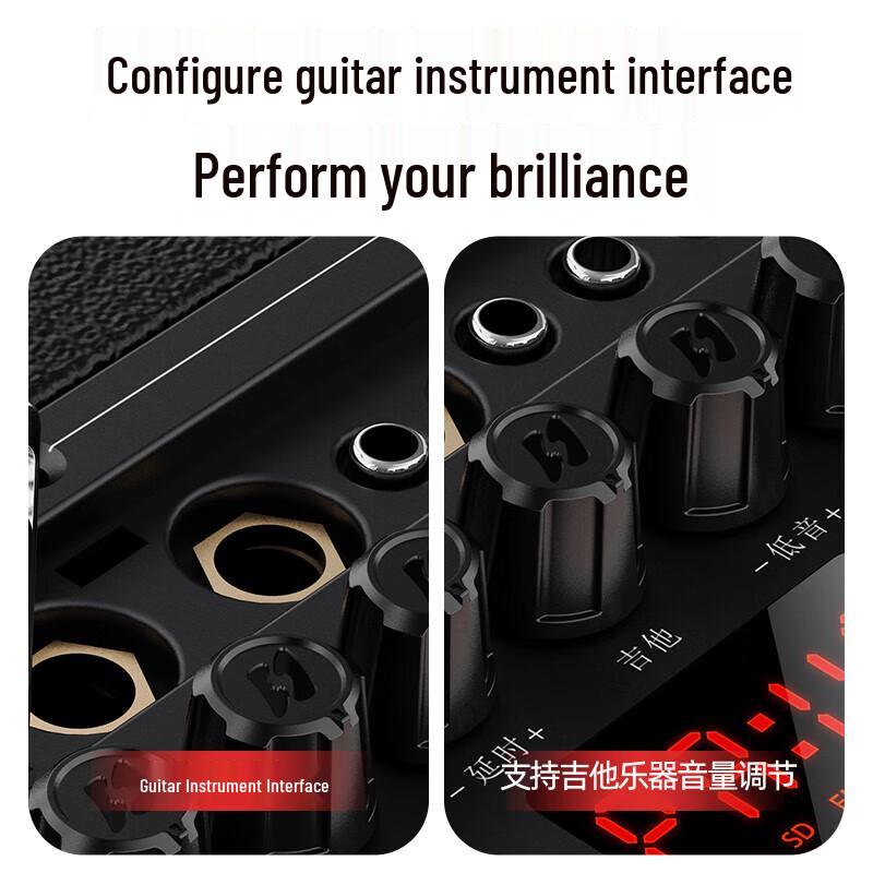 Shanshui L10 Portable Karaoke Speaker